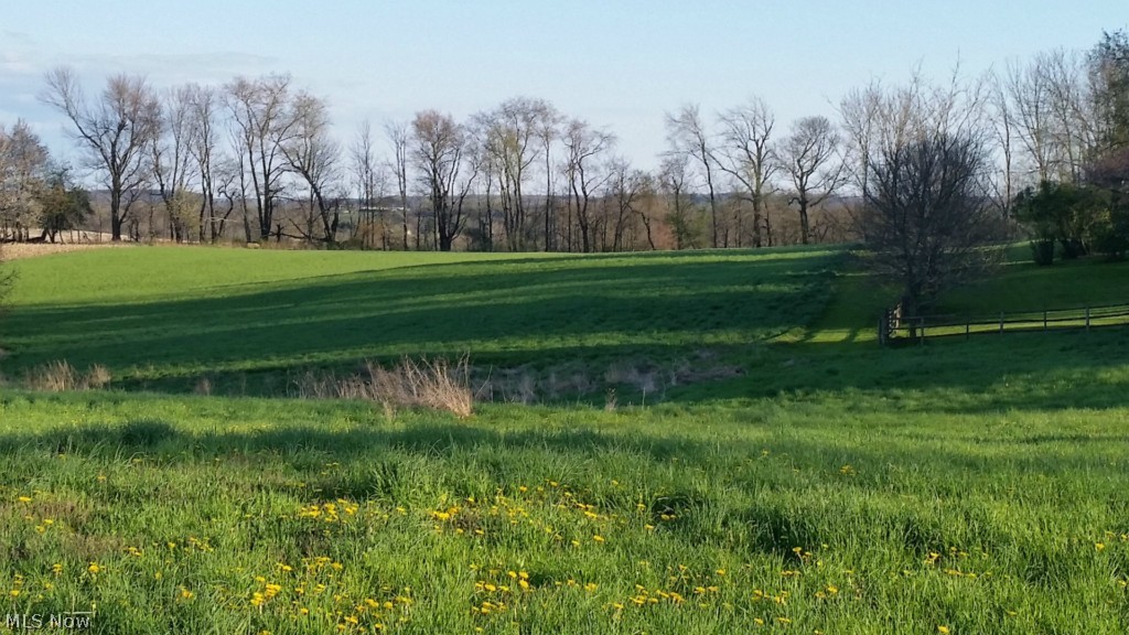 Theresa M Shultz - Land