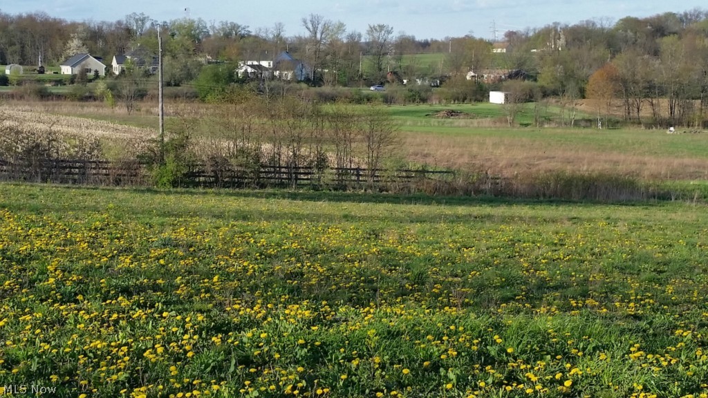 Theresa M Shultz - Land