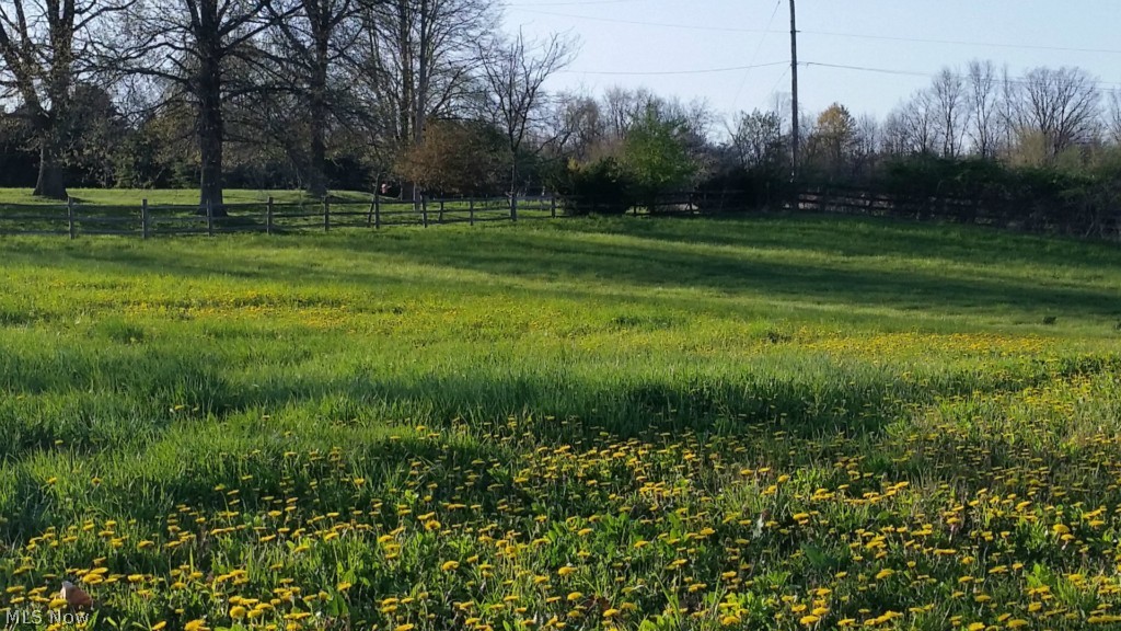 Theresa M Shultz - Land