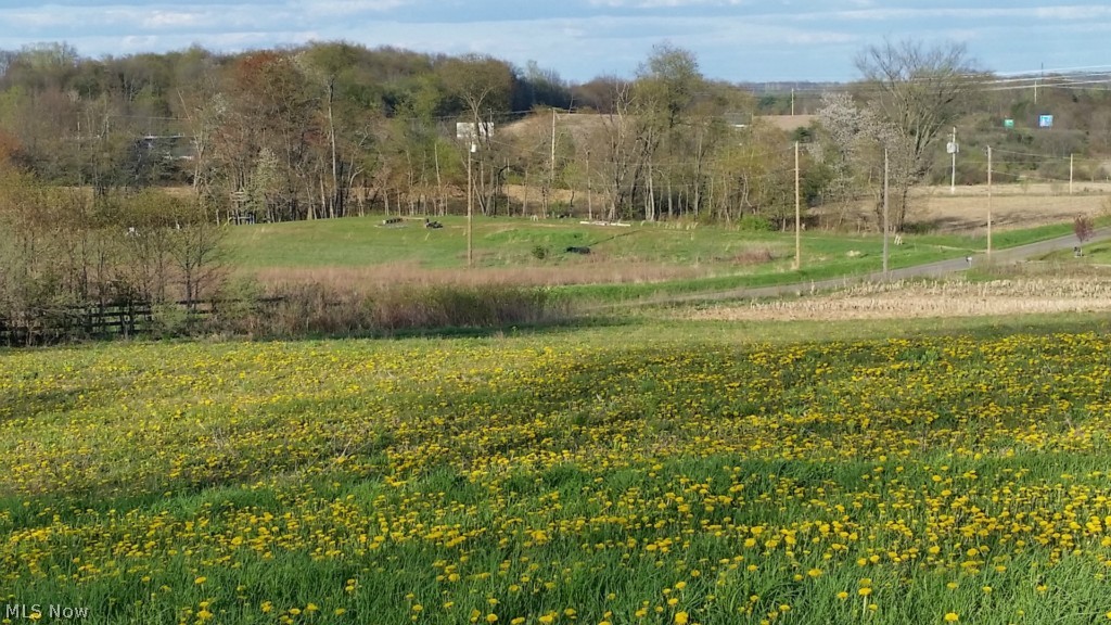 Theresa M Shultz - Land