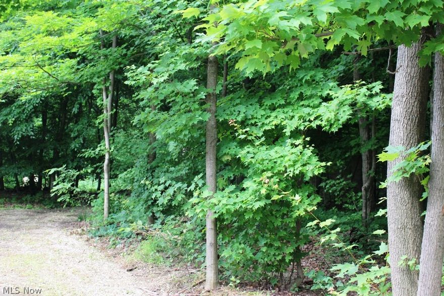 Beautiful 2.1 Acre wooded lot in Smithville school district. Natural gas available. Deed restricted lot. Private lot ready to build!