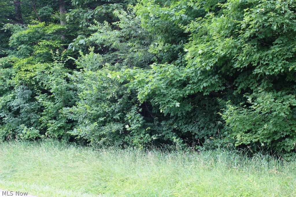 Clela M Johnson - Land