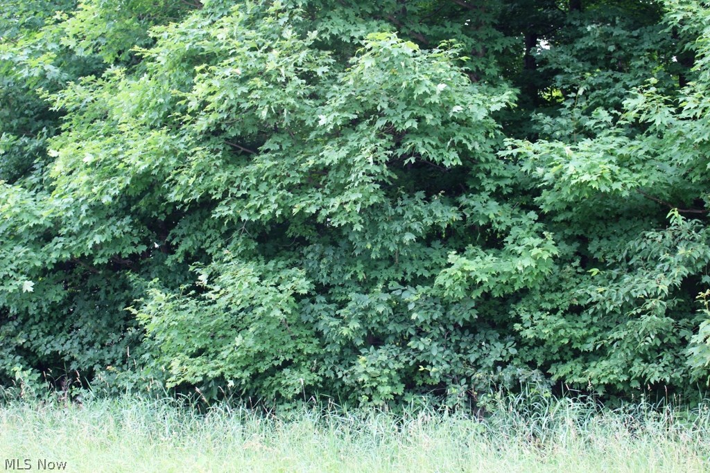 Clela M Johnson - Land