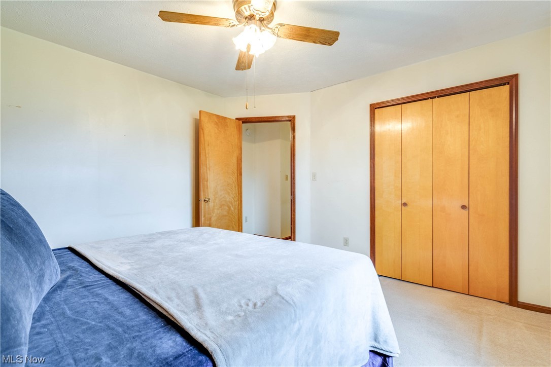 Guise Allotment - Residential