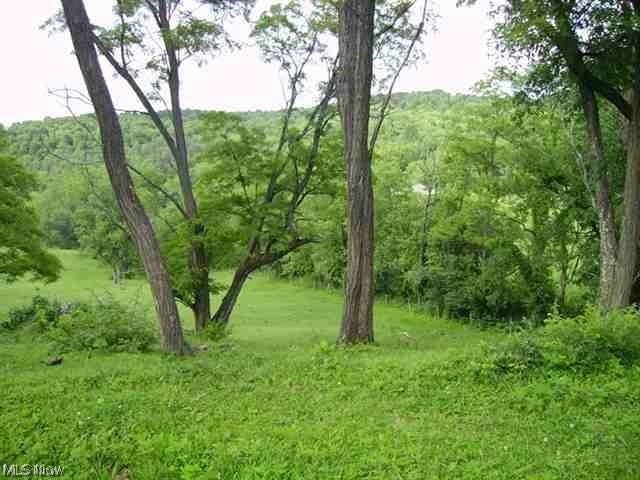 Frankfort Road, New Cumberland, West Virginia image 2