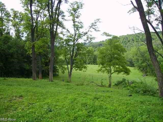 Frankfort Road, New Cumberland, West Virginia image 1