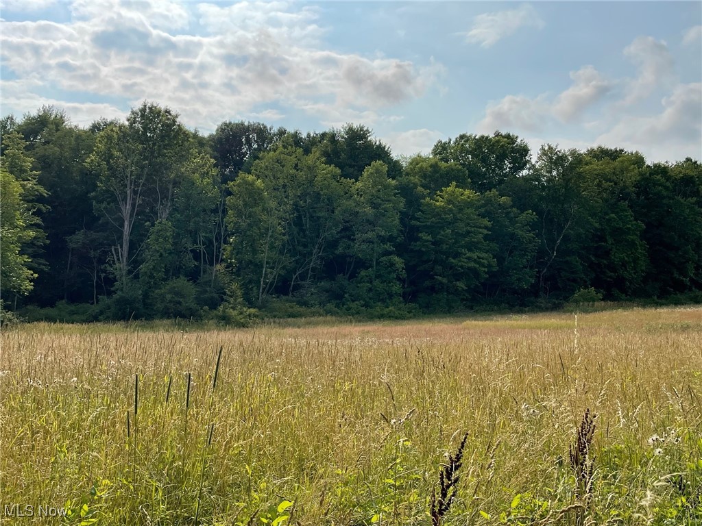 North Street, Garrettsville, Ohio image 6