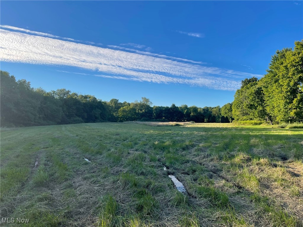 North Street, Garrettsville, Ohio image 9