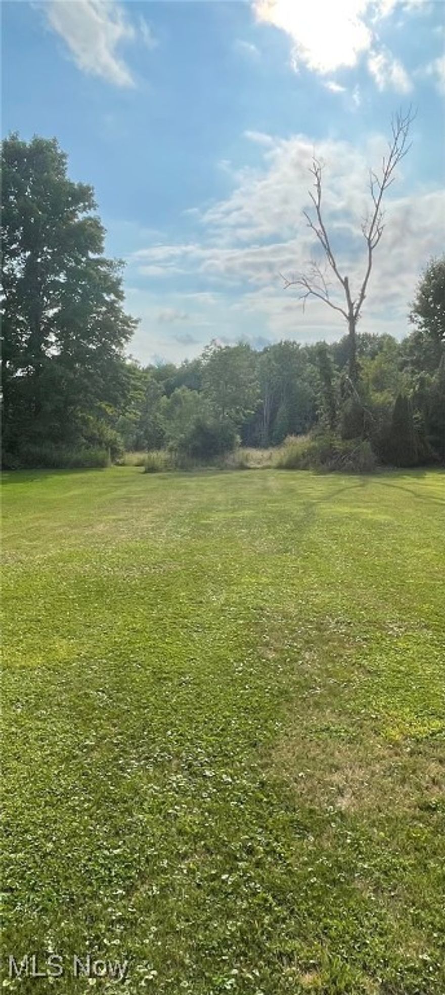 This Beautiful property features 36.6 acres of rolling land in Garrettsville Village. Consisting of open fields as well as Mature woods and has a golf course view. The perfect spot to build your dream home with plenty of privacy, but in the Village and close to everything. City utilities available at the street. Don't miss out on this slice of paradise. 4 parcels of land totaling 36.6 acres of land in Garrettsville Village. James A Garfield Schools. This property has it all, rolling hills, woods, mature trees, privacy yet close to everything. Zoned Residential. No frontage on North/ SR 88. To access the property, take St Rt 88 to Center Street, east on Center Street to Garfield Drive, Garfield Drive loops around, property is at the back of the development next to brick Foxwood Sign.