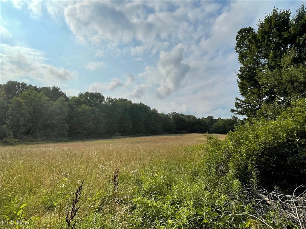 North Street, Garrettsville, Ohio image 3