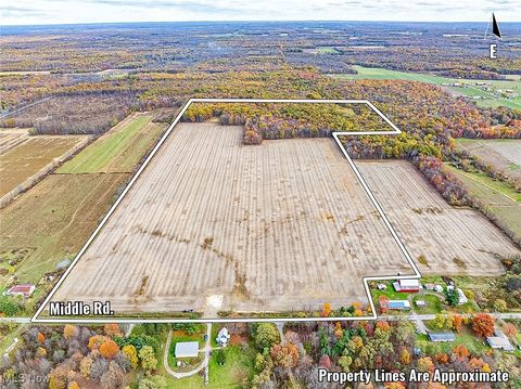 Vacant Land For Sale - Middle Road<br/> Pierpont, OH 44082