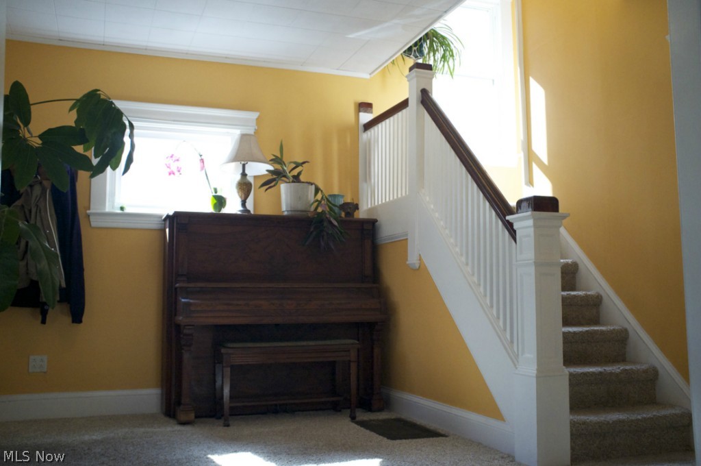 Delmar - Residential