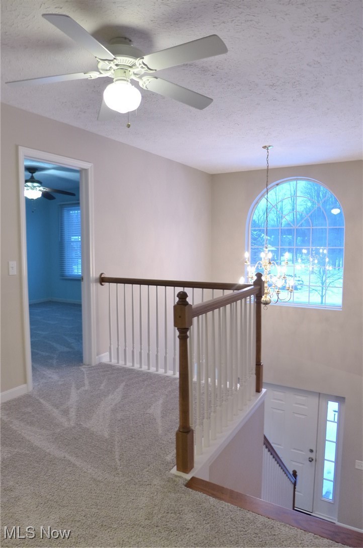 Presever Ph 03 - Residential