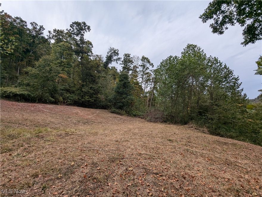 Here's a unique opportunity to own a waterfront, multi-use recreational property in Eastern Ohio.  Offering over 700 feet of frontage on Yellow Creek and providing direct access to the Ohio River can provide endless hours of summer fun. A roughly 1/4 acre clearing would make the perfect place for a weekend cabin or to set up a family campsite. Logging trails crisscross the property and are perfect for riding ATVs or providing access to hunt deer and turkey which are strong in this area. Whether you're looking to hunt, camp, ride, fish or boat then this property has something for you! Contact me today to learn more about this truly special piece of land today.