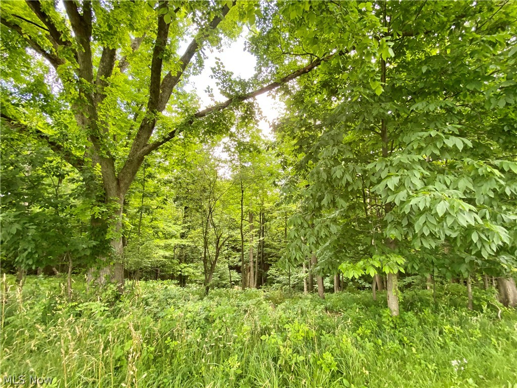 Bedford Rdg Estates 02 - Residential