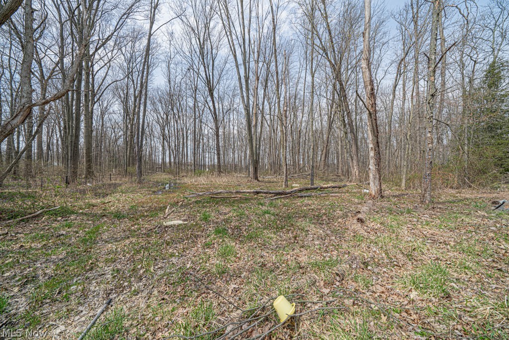 South Hills Land Cos Proposed - Residential