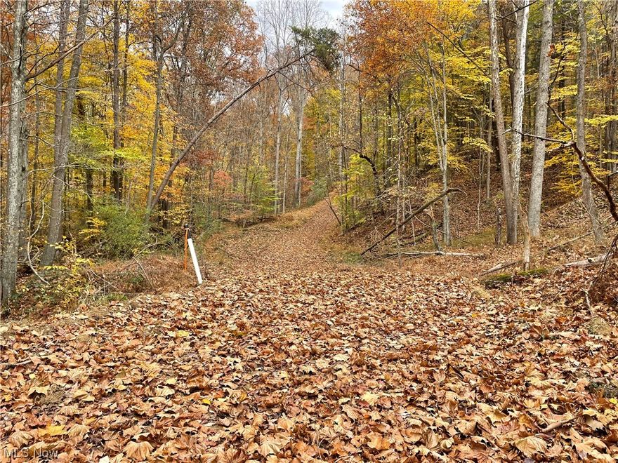 Attention Hunters, Nature Enthusiasts, And Land Seekers! 125+ Acres in Gilmer Co., West Virginia - All Wooded – 3-Bedroom Ranch Home – 16’ x 25’ Garage - Free Gas – No Utility Bills – Many ATVs/Hunting Trails - Also Orig. Two-Story House - Just Minutes from Glenville Right Off Route 33 - On-Site Auction with Online Bidding Available. ABSOLUTE AUCTION, all sells to the highest bidder on location. ONLINE BIDDING BEGINS TUESDAY, APRIL 18, 2023 – 12:00 PM and AUCTION LIVE ON-SITE BIDDING WILL BEGIN SATURDAY – APRIL 22, 2023 – 11:00 AM. Real Estate: 125 acres all wooded with wide trails throughout. Nice marketable timber, streams and several gas wells supply free gas. 3-bedroom ranch home and detached garage. Older original home in need of rehab or demo and build your own home, lodge, or retreat. Each homesite has separate well and septic, and public water available. Frontage on Rt. 33 and over 3,500’ deep. Note: Walk land at your leisure. Great location retreat/hunting camp yet located a f