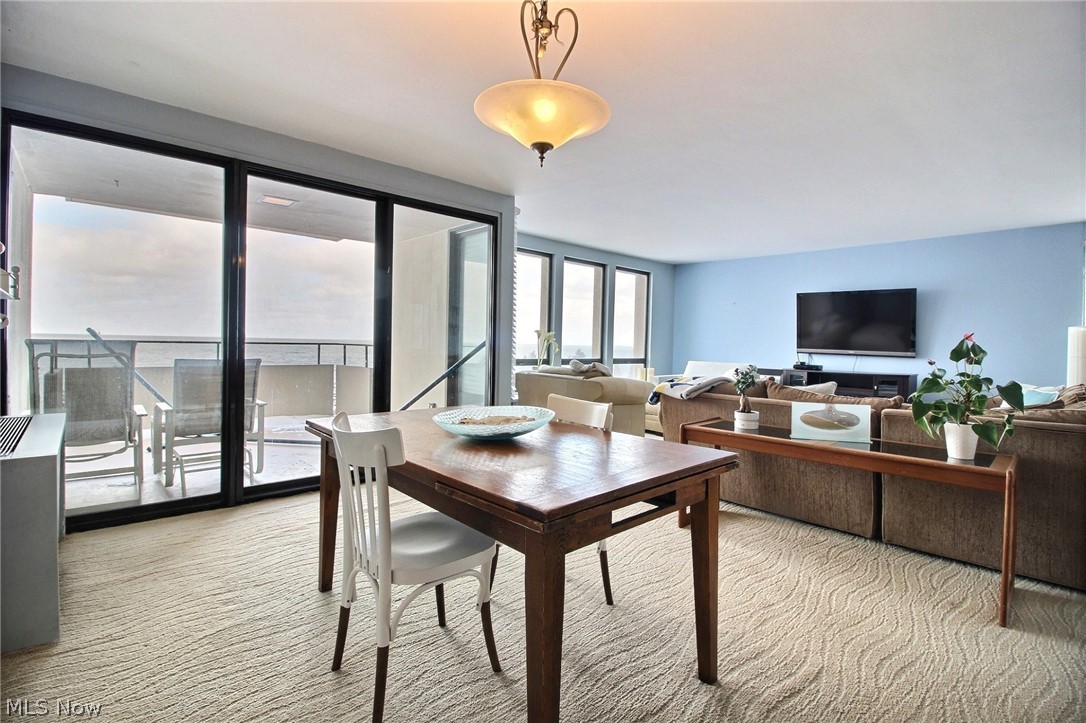 Bratenahl Place Condo - Residential