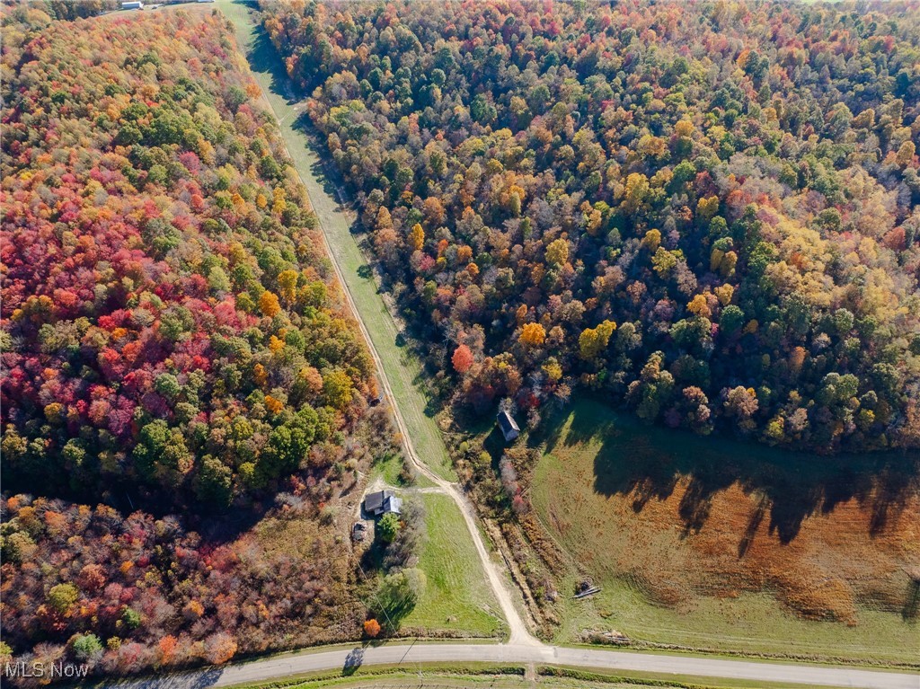 Kedigh Hollow Road, Newcomerstown, Ohio image 7