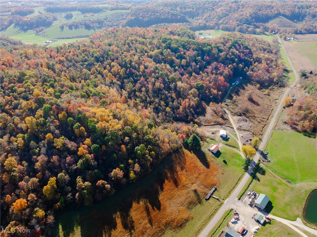 Kedigh Hollow Road, Newcomerstown, Ohio image 1