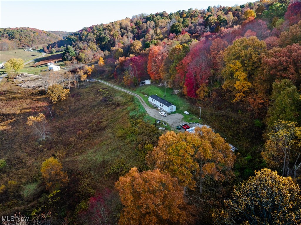 Kedigh Hollow Road, Newcomerstown, Ohio image 3