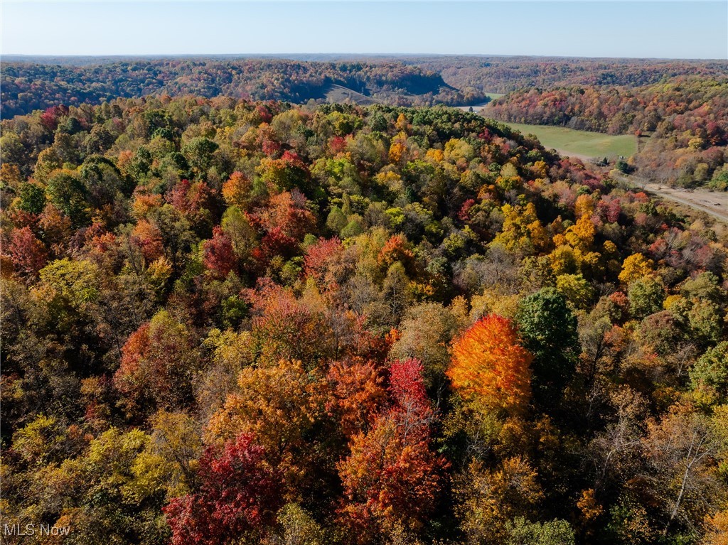 Kedigh Hollow Road, Newcomerstown, Ohio image 4