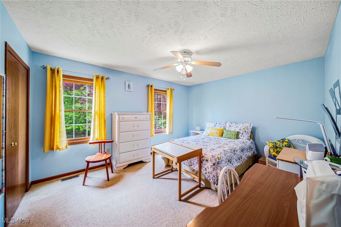 8163 Nancy Drive, Mentor, Ohio image 38