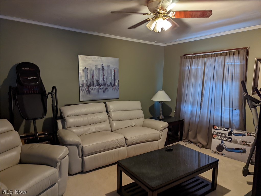 Brooklyn Realty - Residential Income