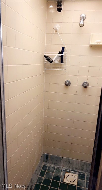 BLAUMEISER - Residential