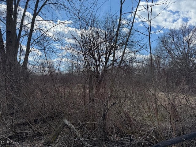 V/L W Nimisila Road, New Franklin, Ohio image 1
