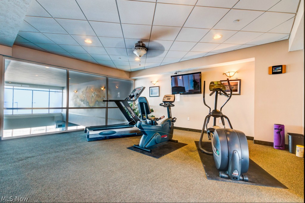 Lake Erie Vista Condo - Residential