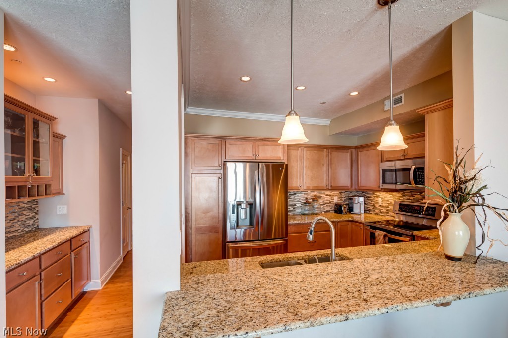 Lake Erie Vista Condo - Residential