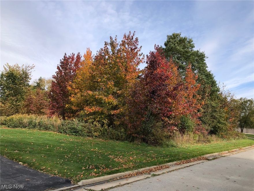 Great opportunity to build your dream home in this serene, private development in the Meadows/Logan Farms in Canfield township. Over an acre of land with two 1000 gallon septic tanks and leach field already installed.  Great location close to restaurants and shopping.  Some building restrictions apply.