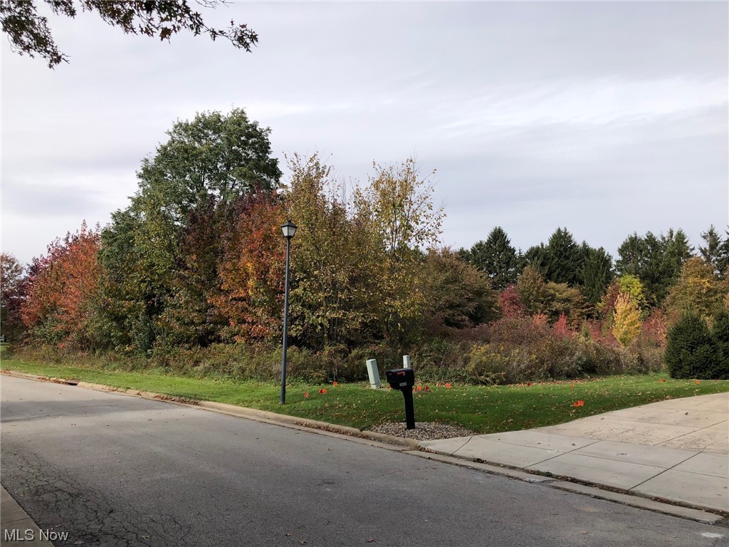 Meadows/Logan Farms 01 - Land