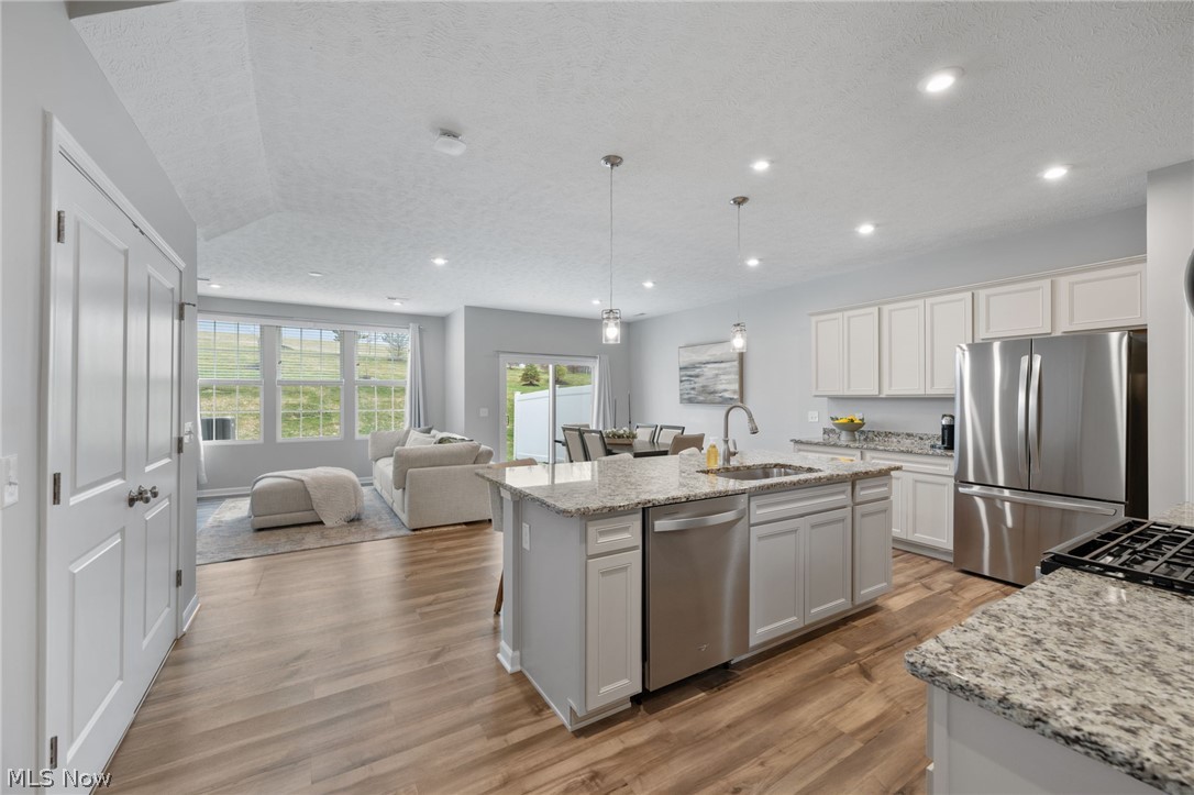 Renaissance Pk/Geauga Lake West - Residential