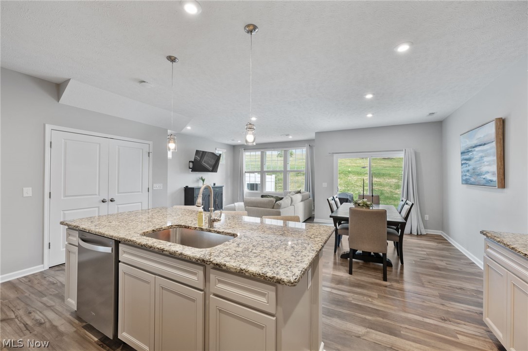 Renaissance Pk/Geauga Lake West - Residential