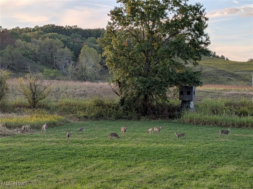 This 19+ acre property near Cambridge, OH, is a premier whitetail hunting destination, or a tremendous building site with acreage ideal for avid hunters seeking a turnkey setup or someone looking to build their dream home. Loaded with deer, the land includes 3 boulder blinds, a maintained food plot with natural screening, a feeder, and a creek that enhances the natural habitat. Mowed trails provide easy access throughout the property, making it both practical and inviting. With all the essential features already in place, this is a ready-made opportunity for successful and enjoyable hunting. Mineral rights negotiable for the right price