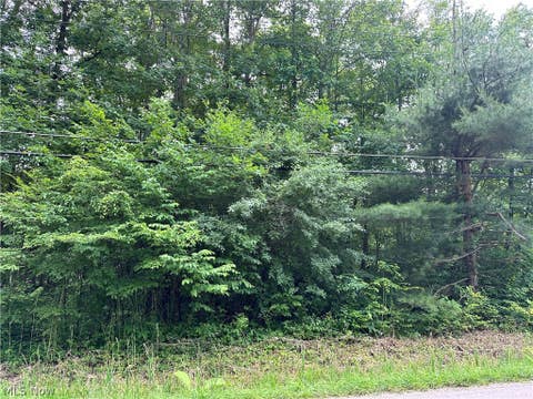 Photo for 730 Rome Rock Creek Road
