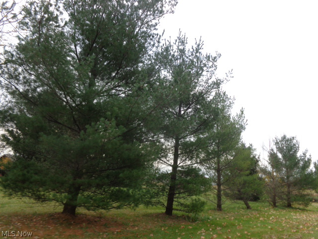 Westfield - Residential