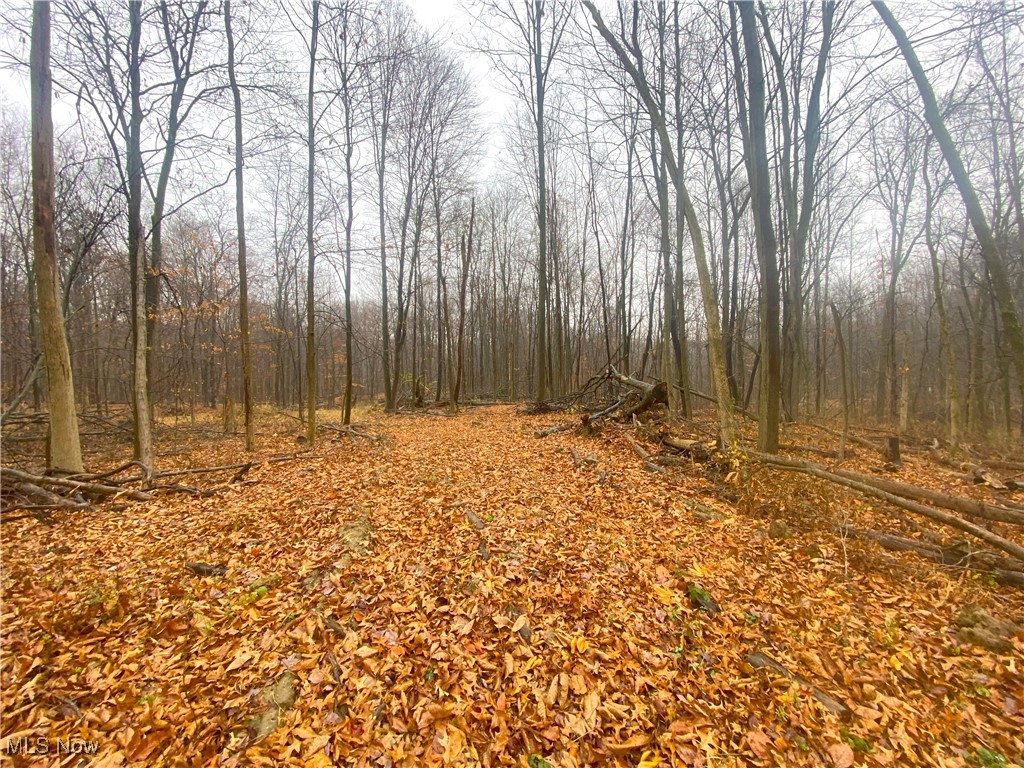 Ruff Road, West Salem, Ohio image 4