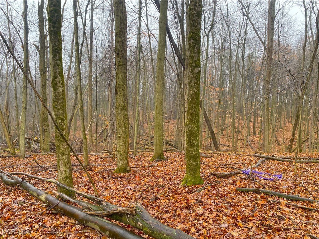 Ruff Road, West Salem, Ohio image 6