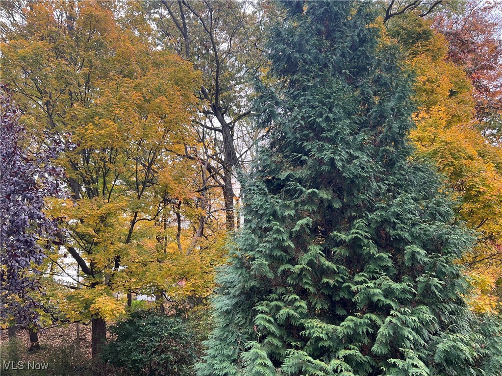 Silver Lake Towers Condo - Residential