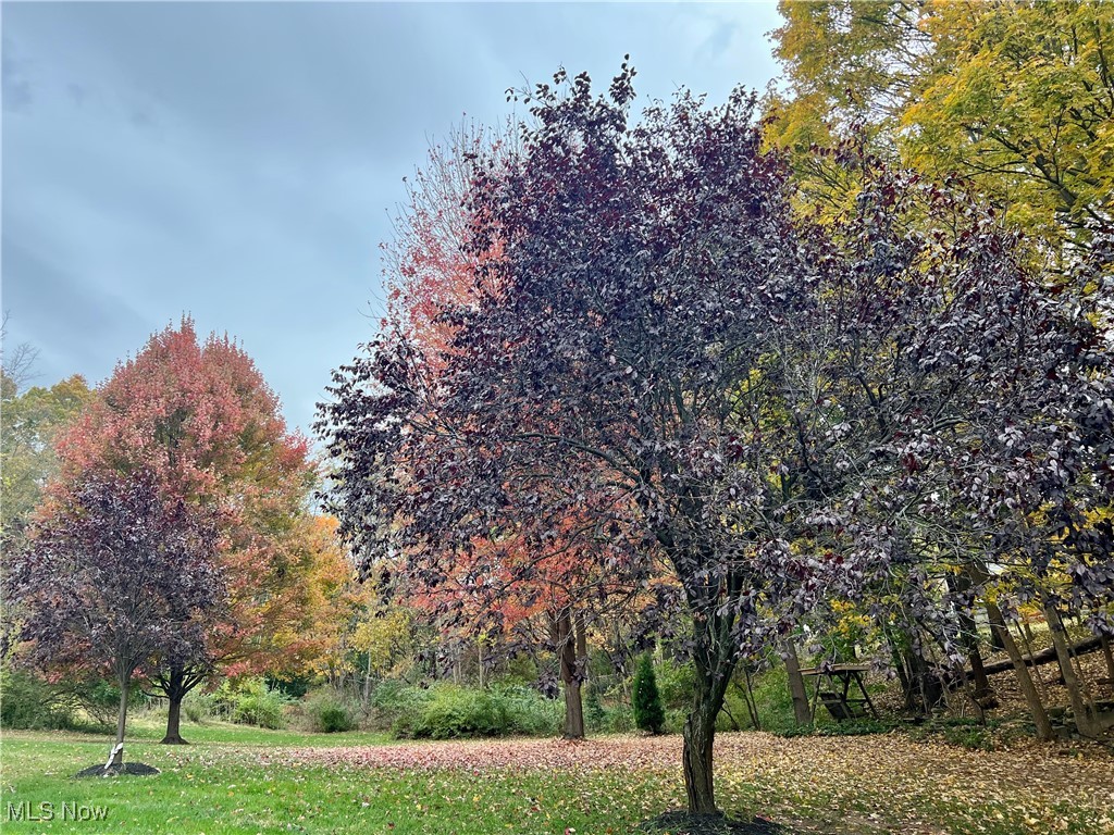 Silver Lake Towers Condo - Residential