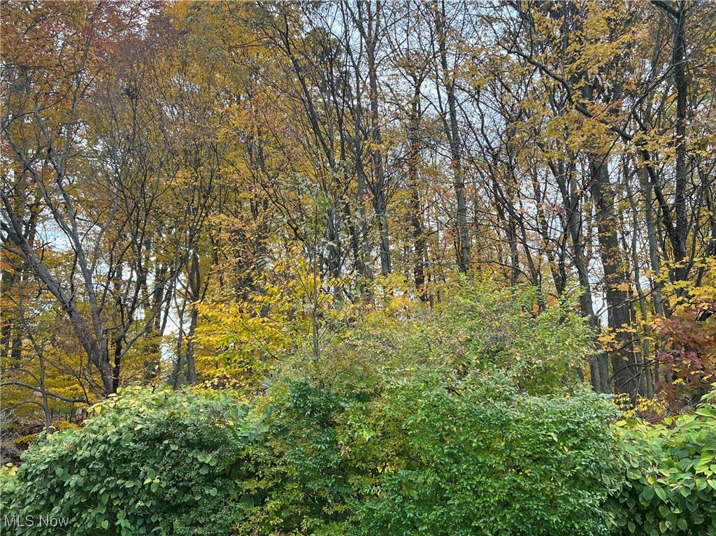 Silver Lake Towers Condo - Residential