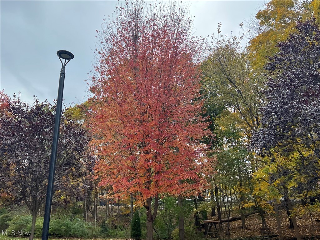 Silver Lake Towers Condo - Residential