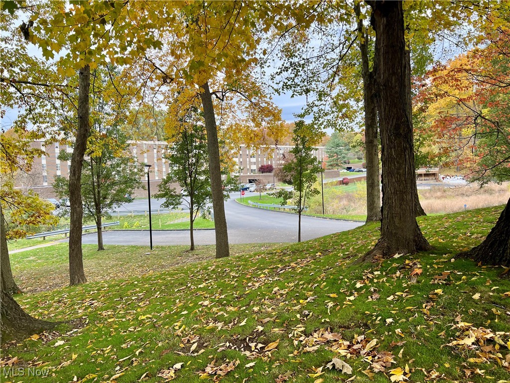 Silver Lake Towers Condo - Residential