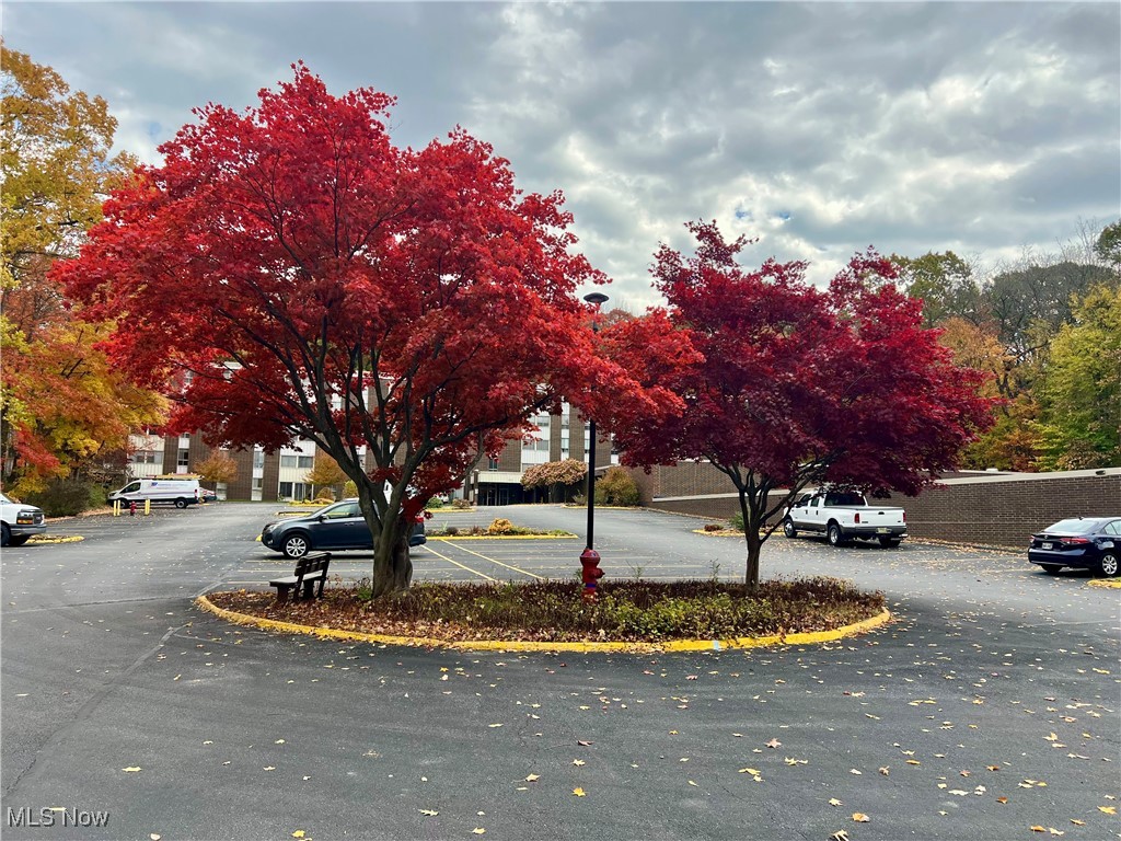 Silver Lake Towers Condo - Residential