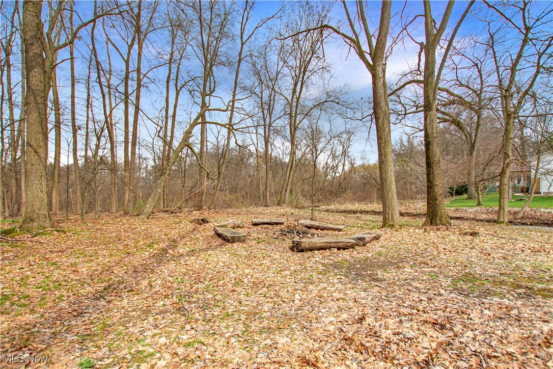 1853 Piercy Drive, Akron, Ohio image 41
