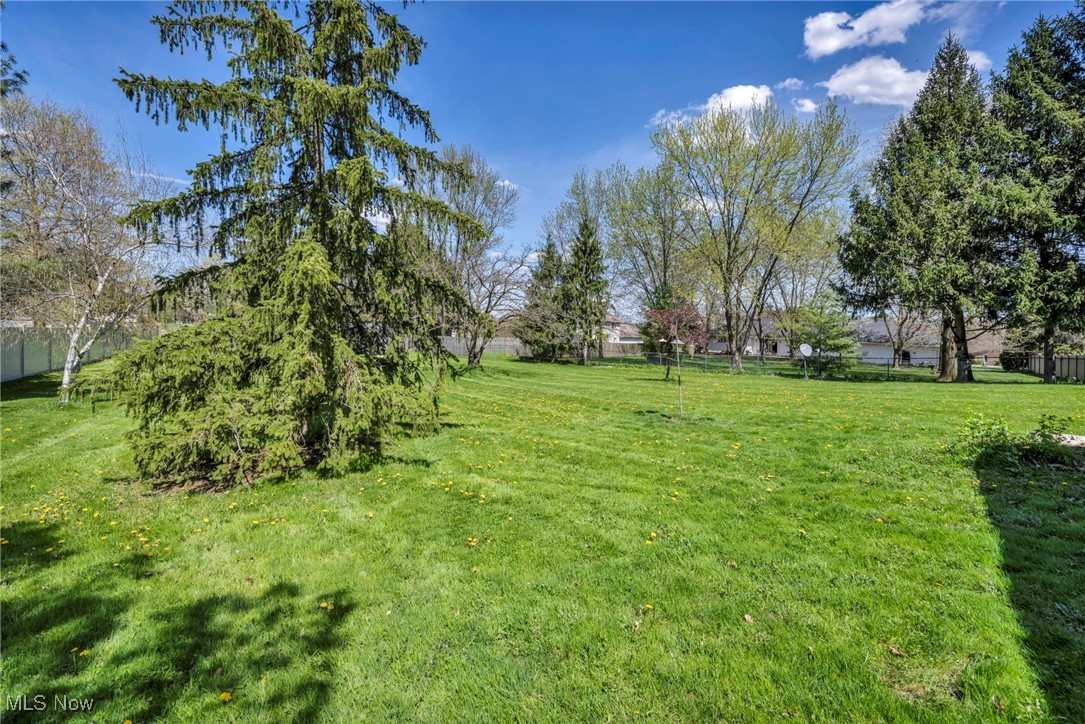 2253 Brook Hollow Oval, Hinckley, Ohio image 42