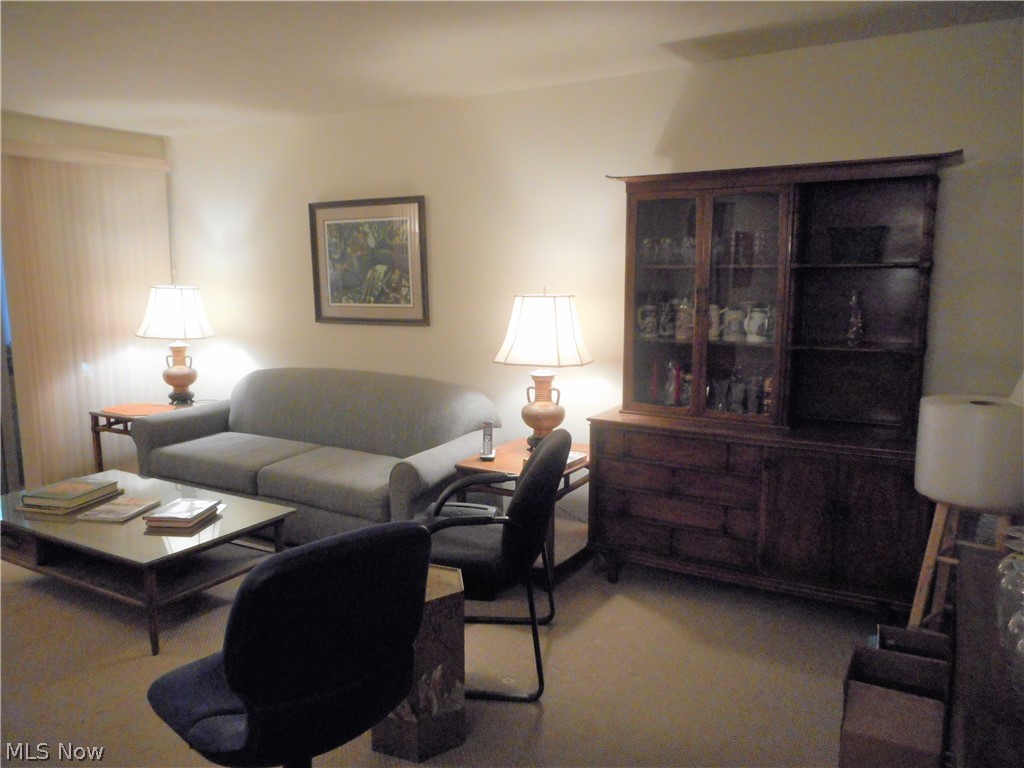 Silver Lake Towers Condo - Residential
